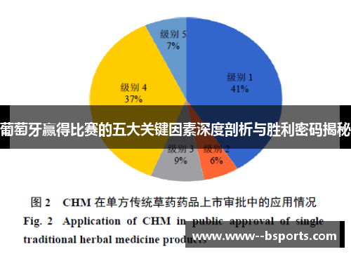 葡萄牙赢得比赛的五大关键因素深度剖析与胜利密码揭秘