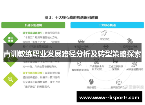 青训教练职业发展路径分析及转型策略探索