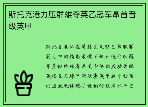 斯托克港力压群雄夺英乙冠军昂首晋级英甲 斯托克港力压群雄夺英乙冠军昂首晋级英甲