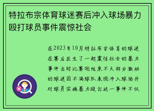 特拉布宗体育球迷赛后冲入球场暴力殴打球员事件震惊社会 特拉布宗体育球迷赛后冲入球场暴力殴打球员事件震惊社会